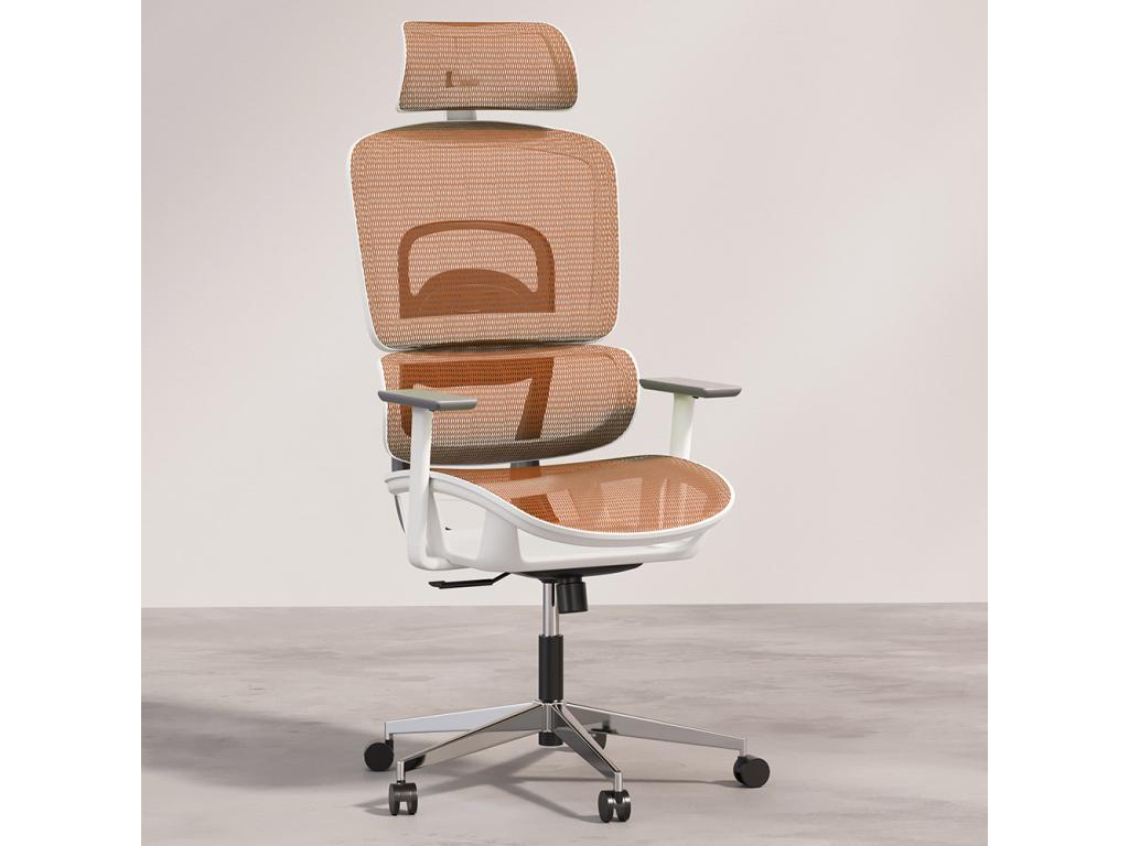 Chaise de bureau ergonomique avec Dekonao et accoudoirs - Dekonao LPOJ35390