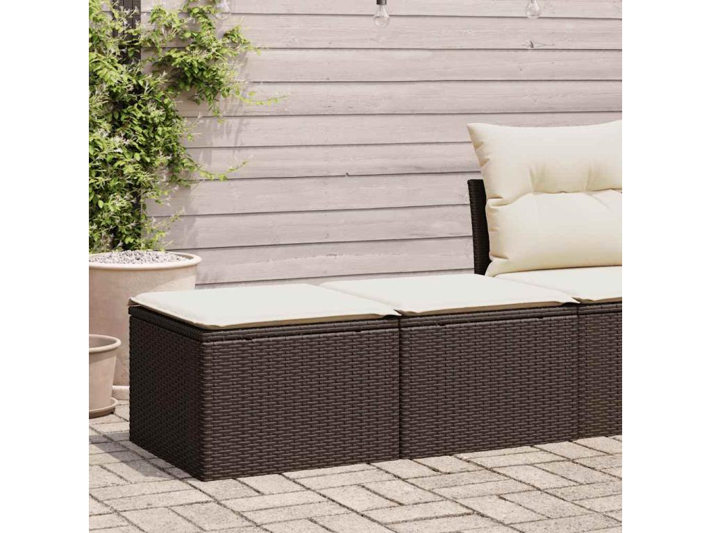 Salon de jardin avec coussins 2 pièces marron résine tressée Dekonao LJGW87230