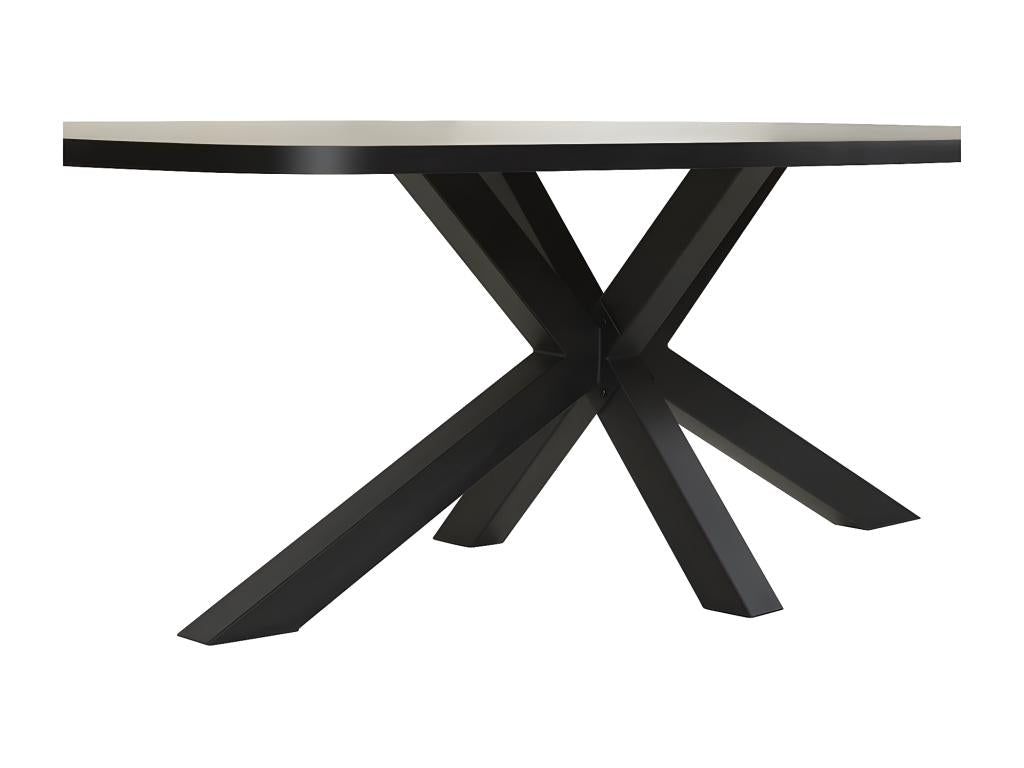 Dekonao - Table Repas Ovale 230cm Aspect Bois Piètement Métal REWW86989