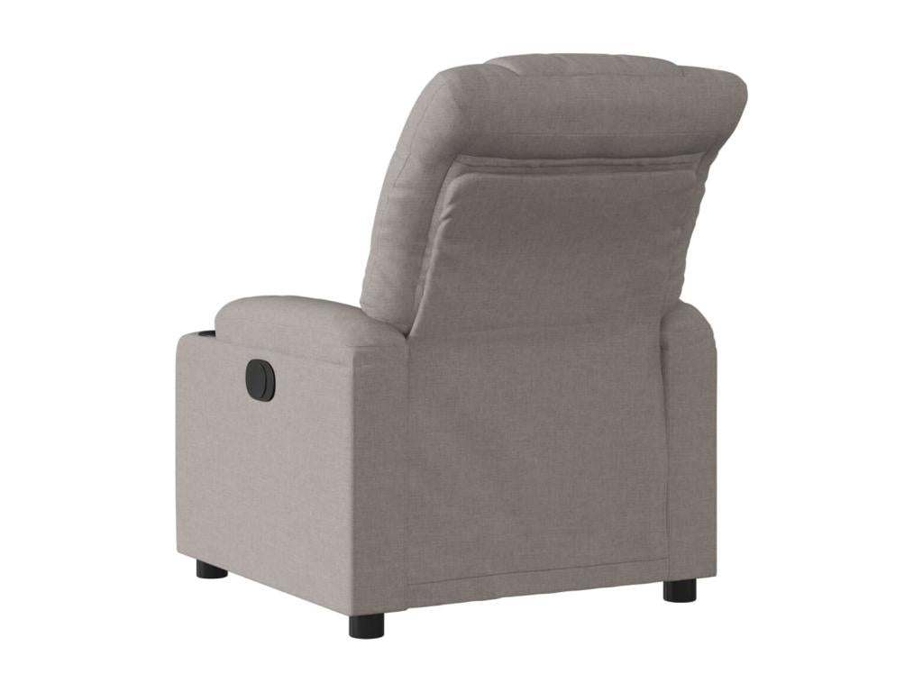 Fauteuil inclinable Dekonao Tissu HALV46741