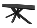 Dekonao - Table Ovale 230cm Aspect Bois Piètement Etoile Métal Noir RPGR15925